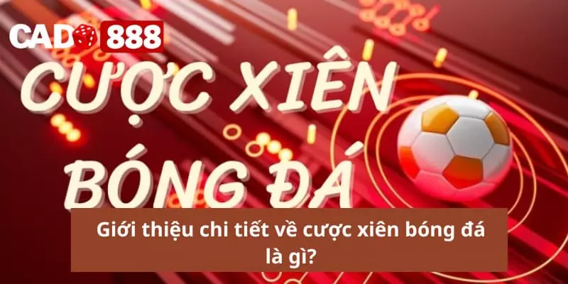 Cược xiên bóng đá Giới thiệu chi tiết về cược xiên bóng đá là gì?