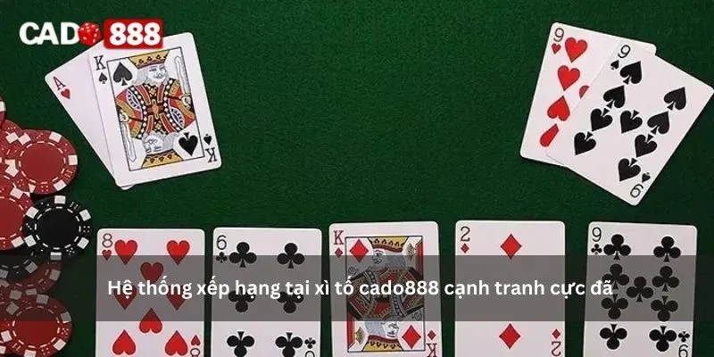 xì tố cado888 xì tố cado888
