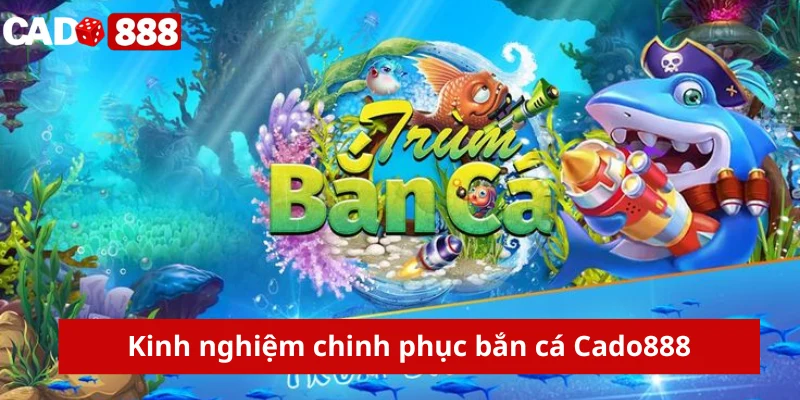 Bắn cá cado888 - Top 5 game bắn cá cado888 Kinh nghiệm chinh phục bắn cá Cado888