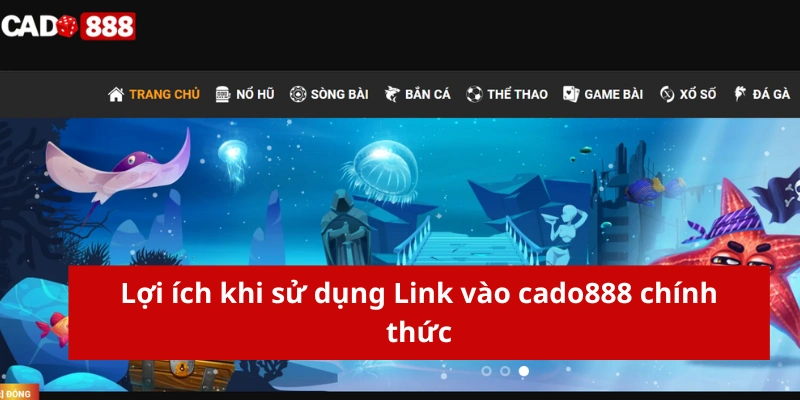 link vào Cado888 Lợi ích khi sử dụng Link vào cado888 chính thức