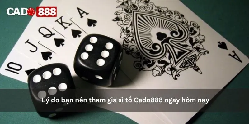 xì tố cado888 xì tố cado888