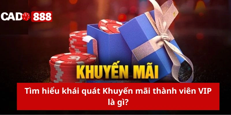 Khuyến mãi thành viên VIP Tìm hiểu khái quát Khuyến mãi thành viên VIP là gì?