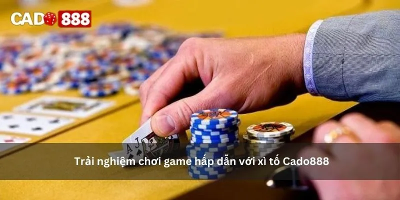 xì tố cado888 xì tố cado888
