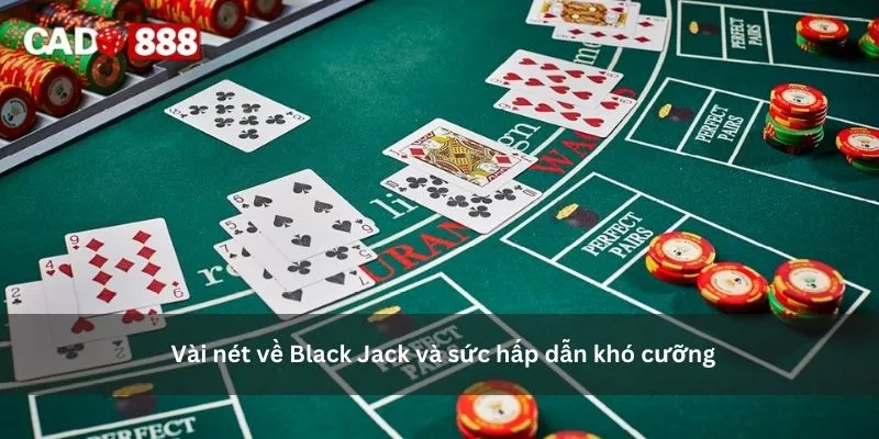 Black Jack Black Jack Black Jack